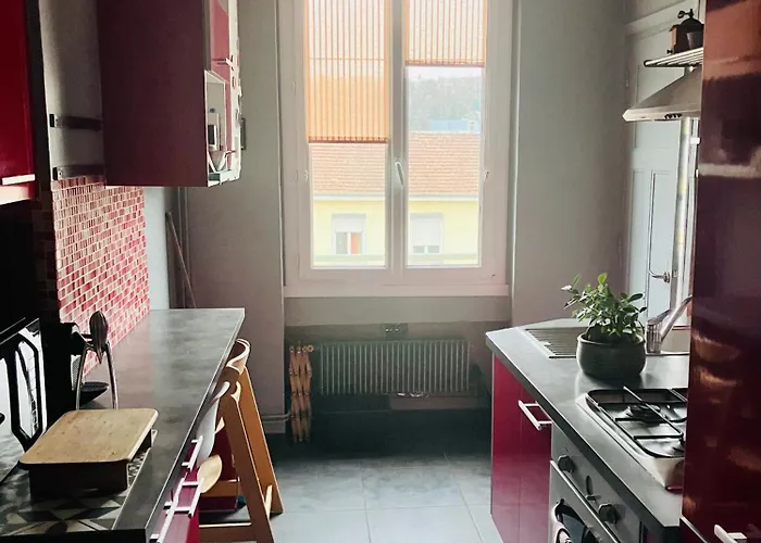 Appartement Cosy Au Coeur De Lyon